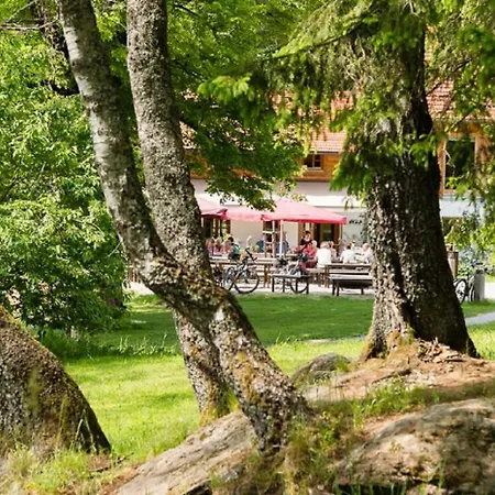 Apartment Gutsalm Harlachberg
