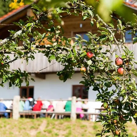 Gutsalm Harlachberg Bodenmais
