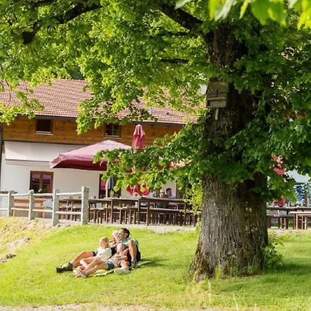 Gutsalm Harlachberg アパート