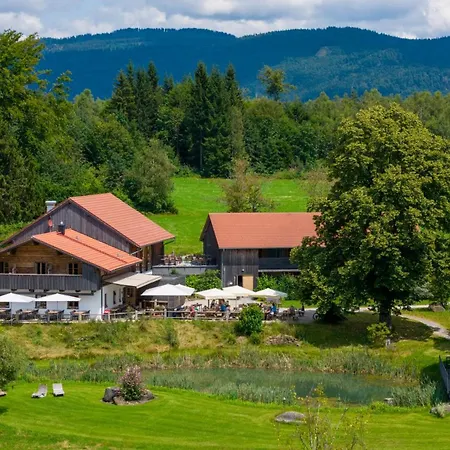 Gutsalm Harlachberg Apartment Bodenmais