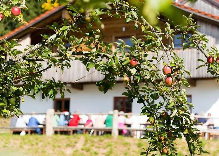 Gutsalm Harlachberg Боденмайс